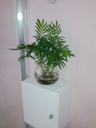 80后婚房十萬裝 賞析經典家裝案例效果圖